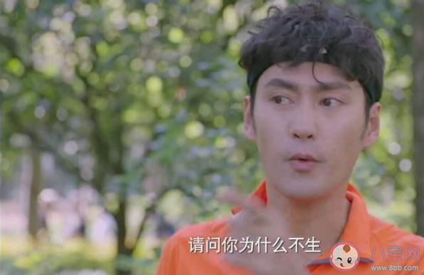 生活像陽光一樣燦爛大結局是什么 白燦爛為什么不想生孩子