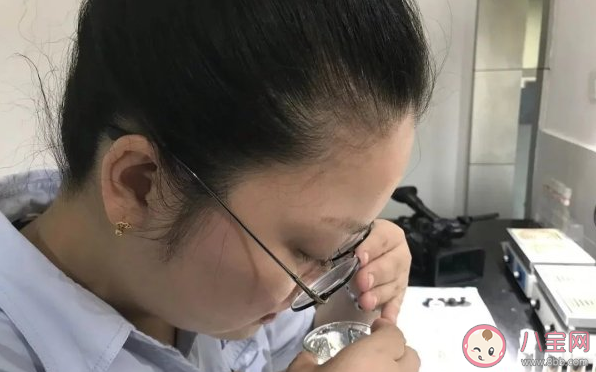 品水師是什么意思 品水師是干什么的