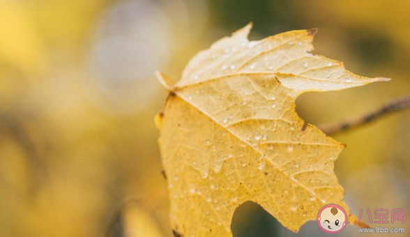 第一場秋雨圖片發朋友圈句子 第一場秋雨朋友圈圖片說說