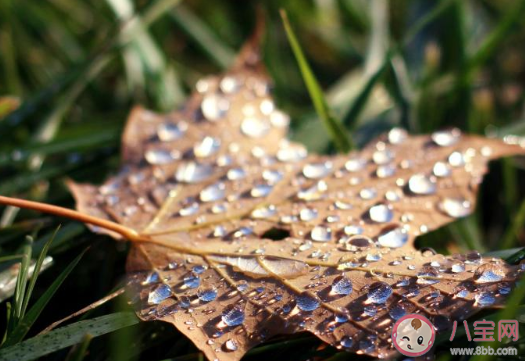 第一場秋雨圖片發朋友圈句子 第一場秋雨朋友圈圖片說說