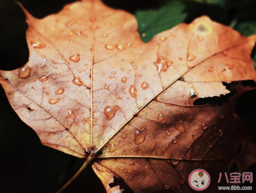 第一場秋雨圖片發朋友圈句子 第一場秋雨朋友圈圖片說說
