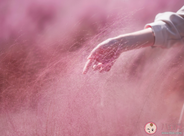 溫柔的人不適合做老師嗎 新手教師如何樹(shù)立威嚴(yán) 溫柔的人不適合做老師嗎 新手教師如何樹(shù)立威嚴(yán)