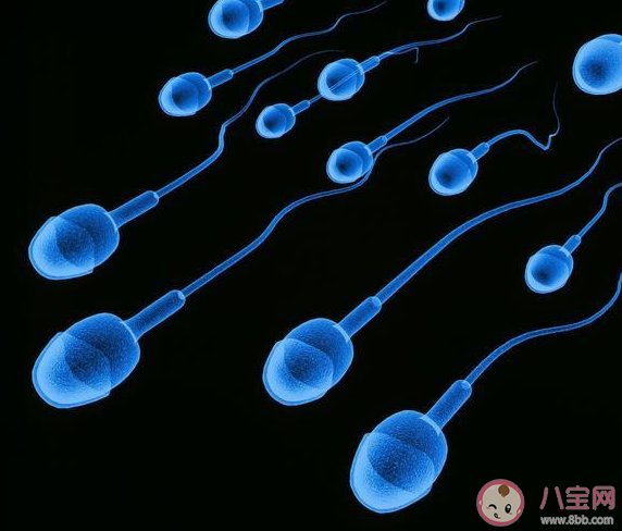 男性每次性生活要消耗多少精子 沒有成功受精的精子去哪里了
