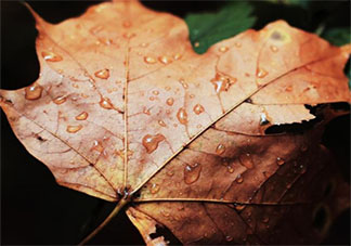 第一場(chǎng)秋雨圖片發(fā)朋友圈句子 第一場(chǎng)秋雨朋友圈圖片說說