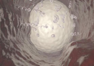 男性每次性生活要消耗多少精子 沒有成功受精的精子去哪里了