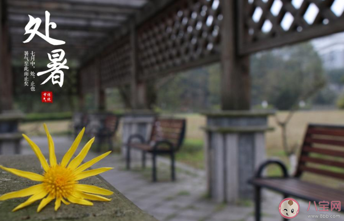 2020處暑節(jié)氣早安心語圖片發(fā)朋友圈 2020處暑早上好圖片文案說說大全