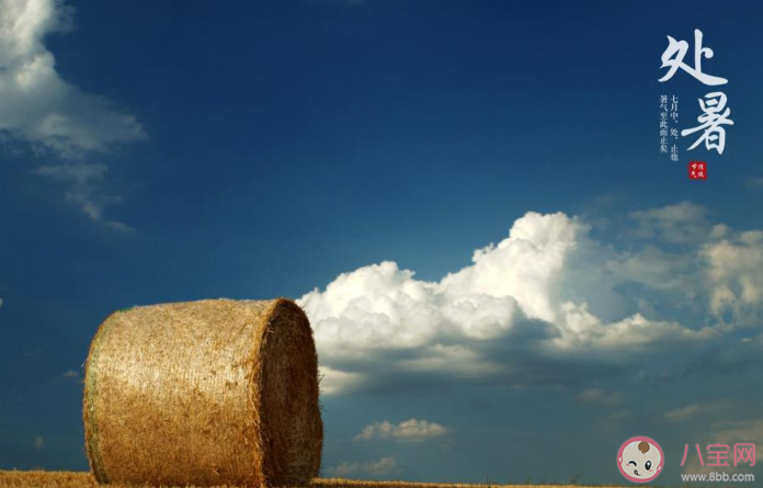 2020處暑節(jié)氣早安心語圖片發(fā)朋友圈 2020處暑早上好圖片文案說說大全