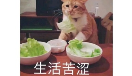 有錢人上班的原因是什么 你認識的富二代都啥樣