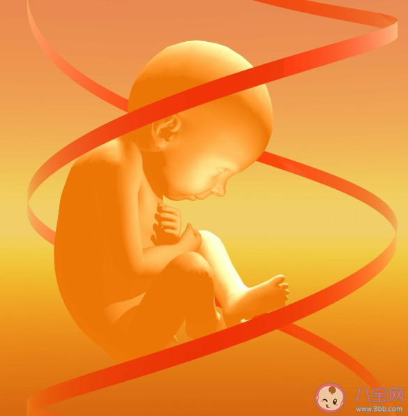 胎兒臍帶繞頸能自己繞出來(lái)嗎 什么情況可以繞出來(lái)