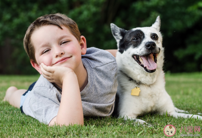 怎么根據孩子年齡養寵物 適合孩子養的寵物有哪些