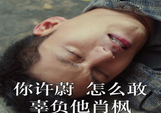 穿越火線許蔚最后坐牢了 許蔚最后大結局是什么