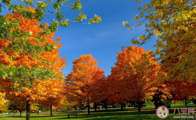 2020處暑節氣圖片暖心問候語文案大全 2020處暑節氣送祝福的暖心說說帶圖 2020處暑節氣圖片暖心問候語文案大全 2020處暑節氣送祝福的暖心說說帶圖