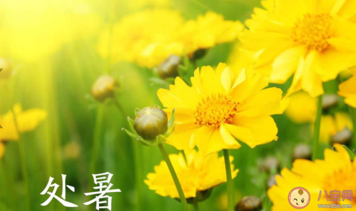 2020處暑節氣圖片暖心問候語文案大全 2020處暑節氣送祝福的暖心說說帶圖 2020處暑節氣圖片暖心問候語文案大全 2020處暑節氣送祝福的暖心說說帶圖