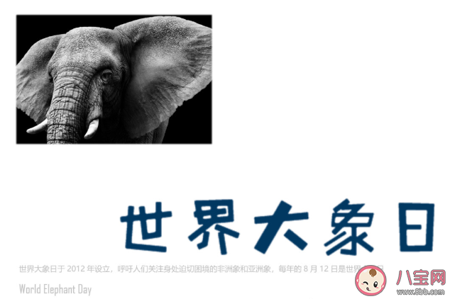 世界大象日朋友圈說說 保護大象宣傳語句子