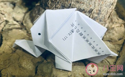 世界大象日文案句子 保護大象的朋友圈文案