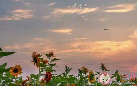 超甜超可愛的早安問候語 怎么說早安最撩人