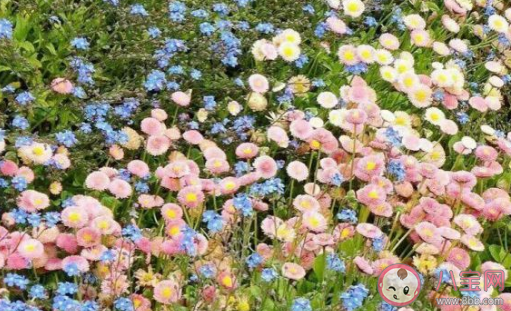 超甜超可愛的早安問候語 怎么說早安最撩人