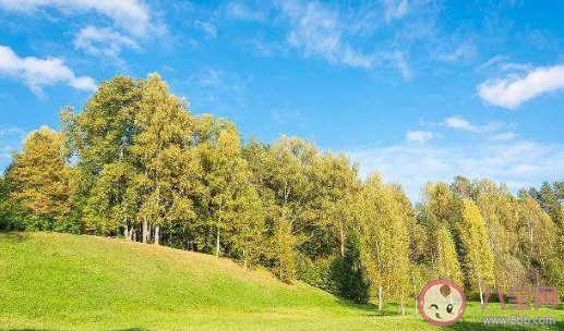 2020年什么時候會變的涼快一些 立秋之后還有多久天氣轉涼