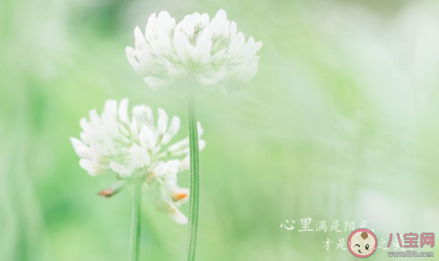 2020八月最后一天工作的朋友圈說說 2020八月最后一天工作發朋友圈