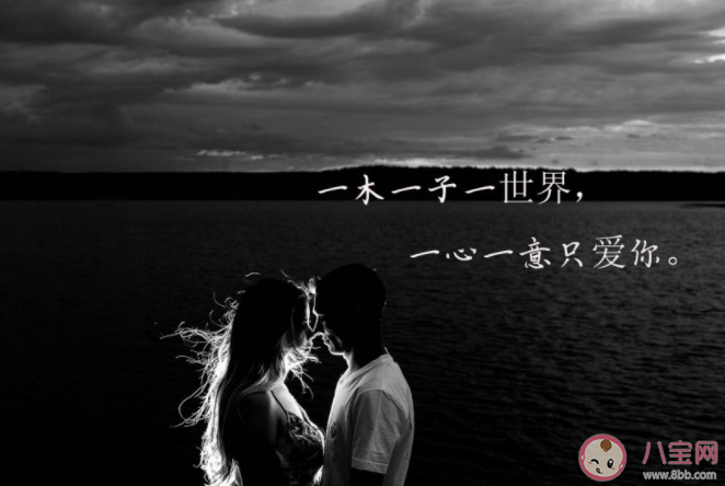 2020七夕情人節高級土味情話大全 2020七夕土味情話句子大盤點