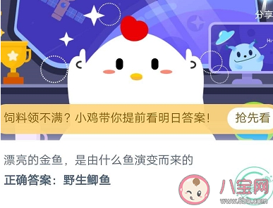 2020螞蟻莊園8月13日答案 漂亮的金魚是由什么魚演變而來的