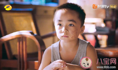 以家人之名賀子秋有哪些懂事的行為 孩子從小懂事真的好嗎 以家人之名賀子秋有哪些懂事的行為 孩子從小懂事真的好嗎