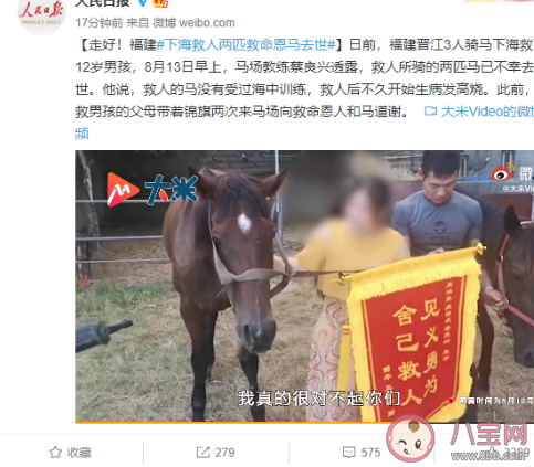 下海救人兩匹救命恩馬去世事情經過是什么 馬游泳可以多遠能游多