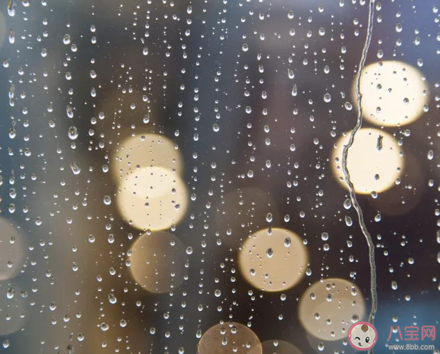 雨癮者是什么意思 雨癮者有什么跡象表現