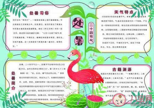 2020處暑節氣手抄報圖片大全簡單好看 2020處暑手抄報內容素材