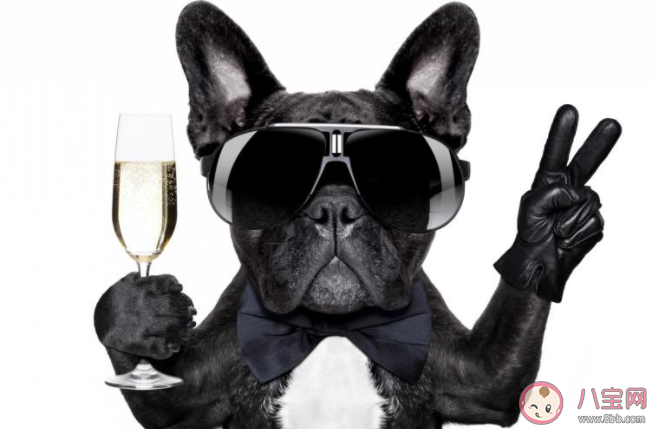 一個人過七夕傷感的朋友圈心情句子 七夕一個人過的傷心說說分享 一個人過七夕傷感的朋友圈心情句子 七夕一個人過的傷心說說分享