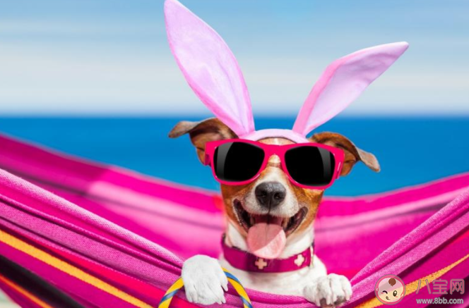 一個人過七夕傷感的朋友圈心情句子 七夕一個人過的傷心說說分享 一個人過七夕傷感的朋友圈心情句子 七夕一個人過的傷心說說分享