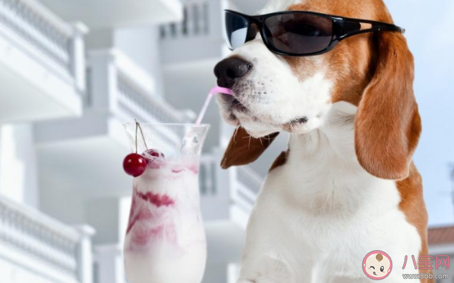 2020七夕單身狗發朋友圈搞笑文案 2020七夕適合單身狗的文案說說 2020七夕單身狗發朋友圈搞笑文案 2020七夕適合單身狗的文案說說