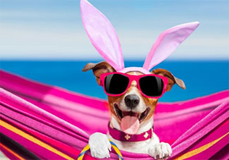 一個人過七夕傷感的朋友圈心情句子 七夕一個人過的傷心說說分享