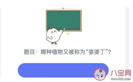 螞蟻莊園11月30日答案 下列哪種植物又被稱為黃花地丁婆婆丁 螞蟻莊園11月30日答案 下列哪種植物又被稱為黃花地丁婆婆丁