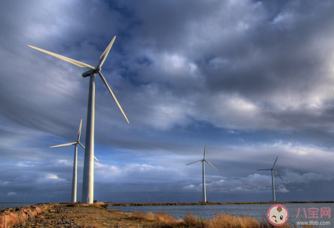 螞蟻莊園8月14日今日答案最新 空曠的地面和高樓之間一般哪個風更大