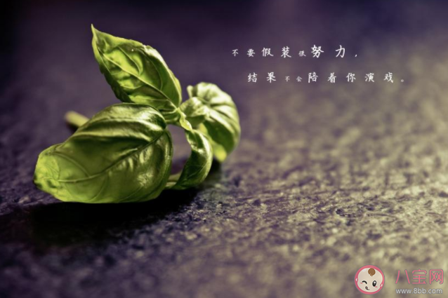 2020八月最后一天圖片發朋友圈說說 2020八月最后一天的朋友圈圖片說說 2020八月最后一天圖片發朋友圈說說 2020八月最后一天的朋友圈圖片說說