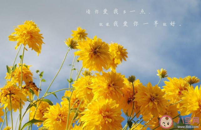 2020八月最后一天圖片發朋友圈說說 2020八月最后一天的朋友圈圖片說說 2020八月最后一天圖片發朋友圈說說 2020八月最后一天的朋友圈圖片說說