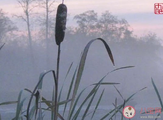 今日處暑發朋友圈文案說說2020 今日處暑精美圖片大全