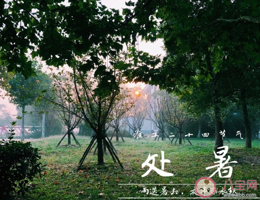 今日處暑發朋友圈文案說說2020 今日處暑精美圖片大全