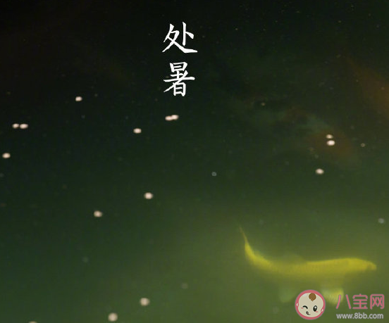 今日處暑發朋友圈文案說說2020 今日處暑精美圖片大全