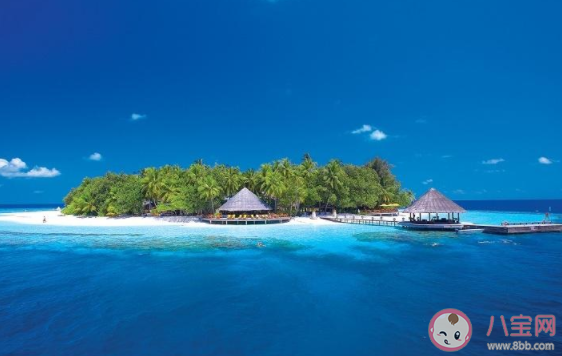 你是藏在微風里的歡喜走過了四季是什么歌 《無人島》完整版歌詞在線聽歌 你是藏在微風里的歡喜走過了四季是什么歌 《無人島》完整版歌詞在線聽歌