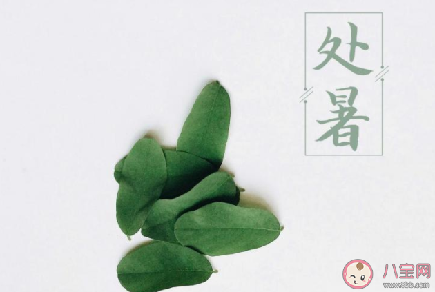 2020今日處暑節氣圖片說說 2020今日處暑個性說說帶圖