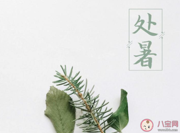 2020今日處暑節氣圖片說說 2020今日處暑個性說說帶圖