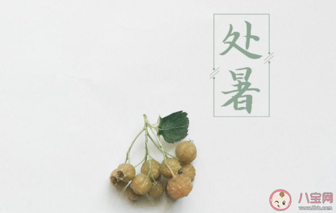 2020今日處暑節氣圖片說說 2020今日處暑個性說說帶圖