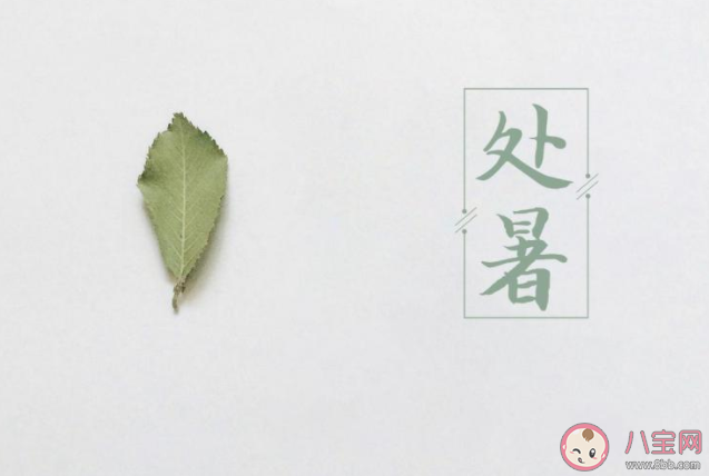 2020今日處暑節氣圖片說說 2020今日處暑個性說說帶圖