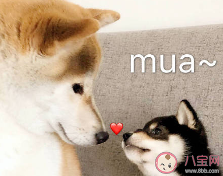 2020七夕情人節收到男朋友紅包圖片說說 2020曬男朋友七夕情人節紅包的說說句子