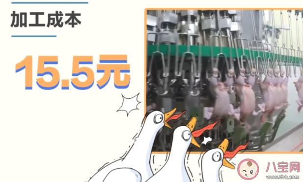 18塊一只的烤鴨能不能吃 街頭烤鴨是打了激素的嗎