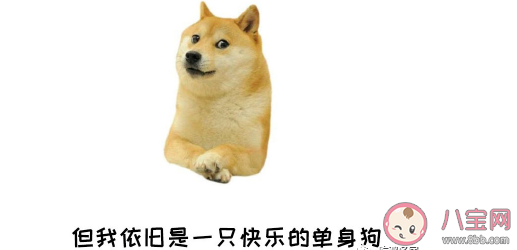 2020七夕單身貴族搞笑文案句子 七夕節最新幽默搞笑說說