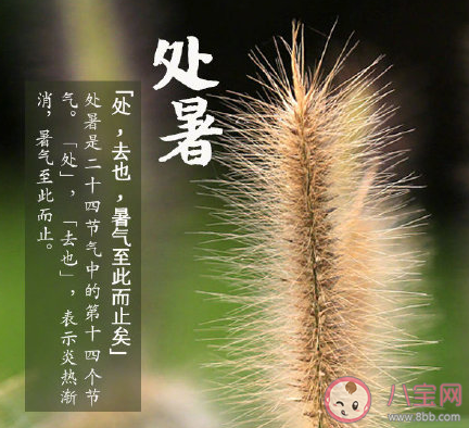 今日處暑圖片早安心語朋友圈說說2020 今日處暑節氣早安的圖片說說2020 今日處暑圖片早安心語朋友圈說說2020 今日處暑節氣早安的圖片說說2020