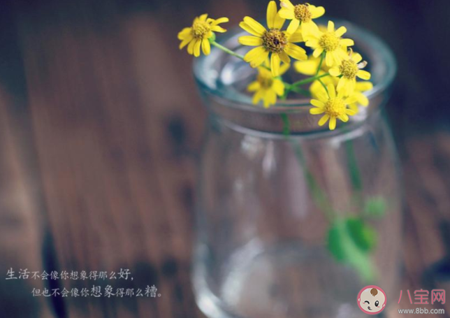 2020九月一句話致自己的勵志朋友圈說說 2020九月鼓勵自己的朋友圈勵志句子